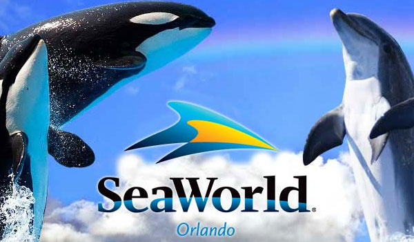 Spies Rejser dropper salg af billetter til SeaWorld Florida fra 2019
