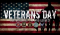 Veterans Day i USA – amerikansk mærkedag i november