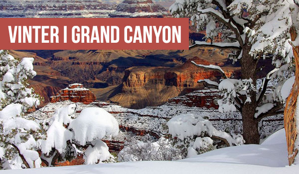 Grand Canyon klar til jul – sne i Arizona nationalpark